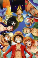 ONE PIECE cover