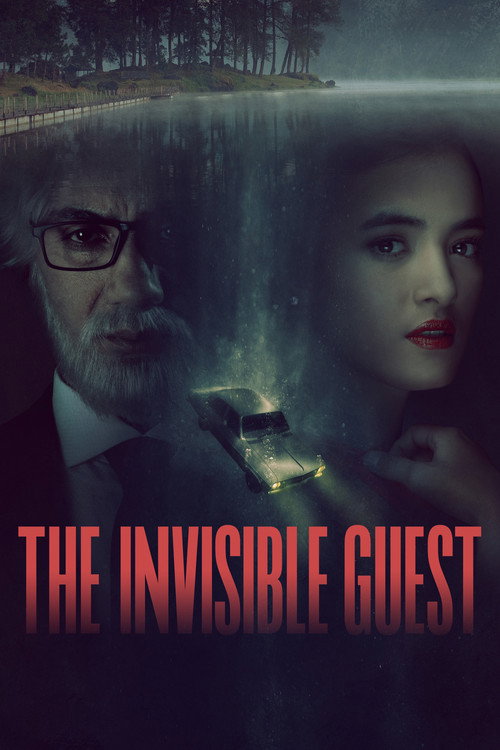 The Invisible Guest cover