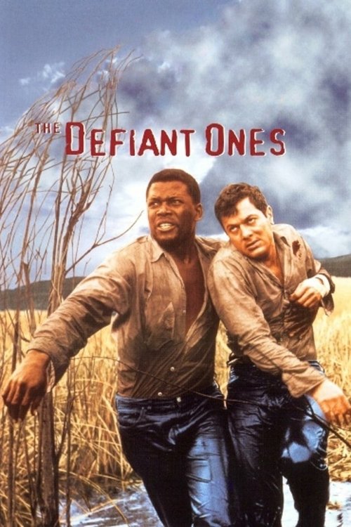 The Defiant Ones cover