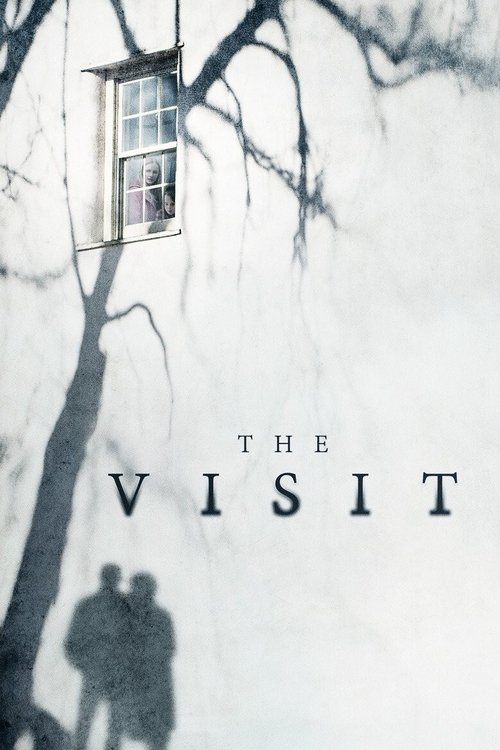 The Visit cover