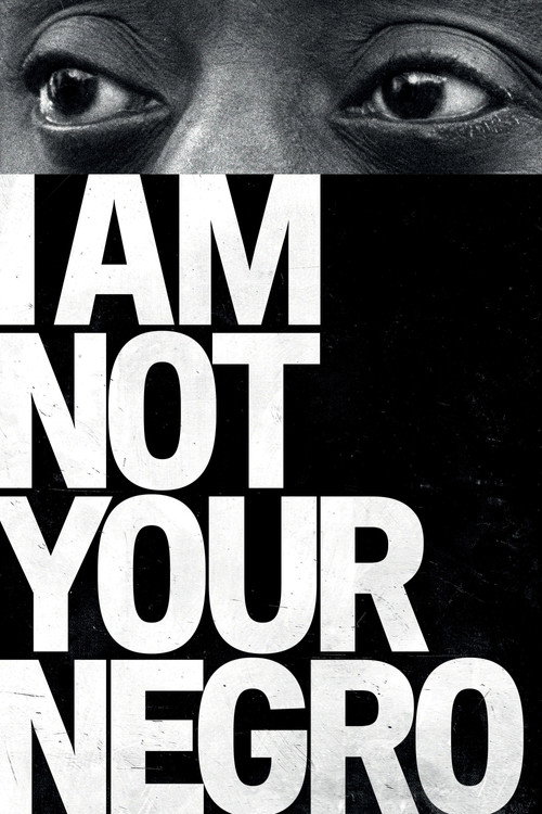 I Am Not Your Negro cover