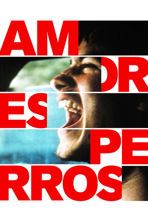 Amores Perros cover