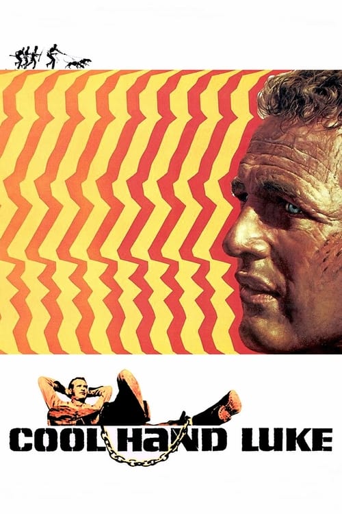 Cool Hand Luke cover