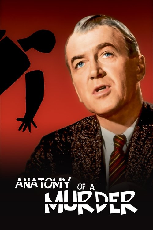 Anatomy of a Murder cover