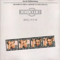 Big Fun cover