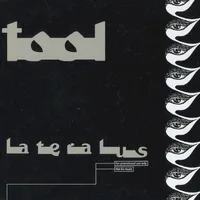 Lateralus cover