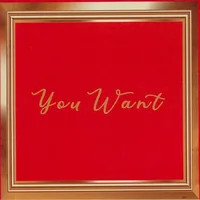 You Want cover