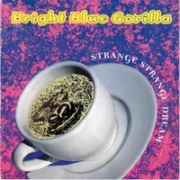 Strange Strange Dream cover