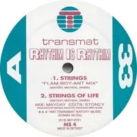 Strings of Life cover
