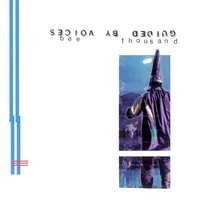 Bee Thousand cover