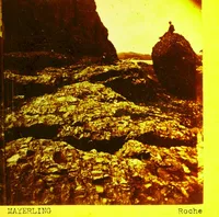 Roche cover